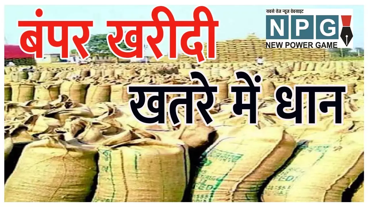 Dhan Kharidi: धान के स्‍टाक ने बढ़ाई चिंता: खरीदी केंद्रों में 49 लाख टन धान, भीगने और नमी बढ़ने का खतरा, उठाव के लिए मिलरों को नोटिस