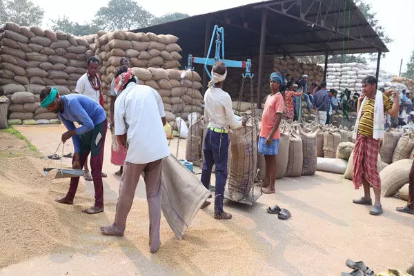 Paddy Procurement: तीन दिन की धान खरीदी में आकड़ा 3 लाख टन के पार: किसानों को 502.53 करोड़ का हो चुका भुगतान Paddy Procurement: तीन दिन की धान खरीदी में आकड़ा 3 लाख टन के पार: किसानों को 502.53 करोड़ का हो चुका भुगतान