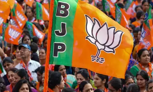 Madhya Pradesh News : मप्र में लोकसभा चुनाव के लिए भाजपा का होमवर्क तेज