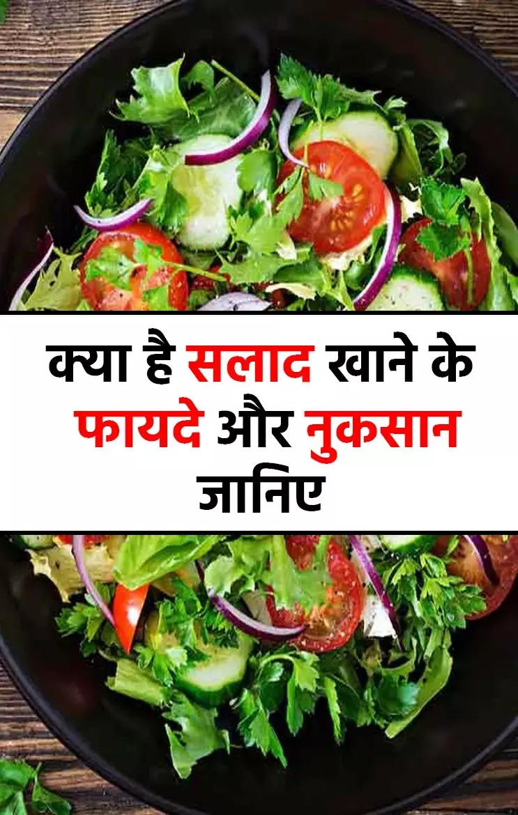 क्या है सलाद खाने के फायदे और नुकसान, जानिए खाने का सही तरीका और क्या शरीर में मिलेंगे लाभ...