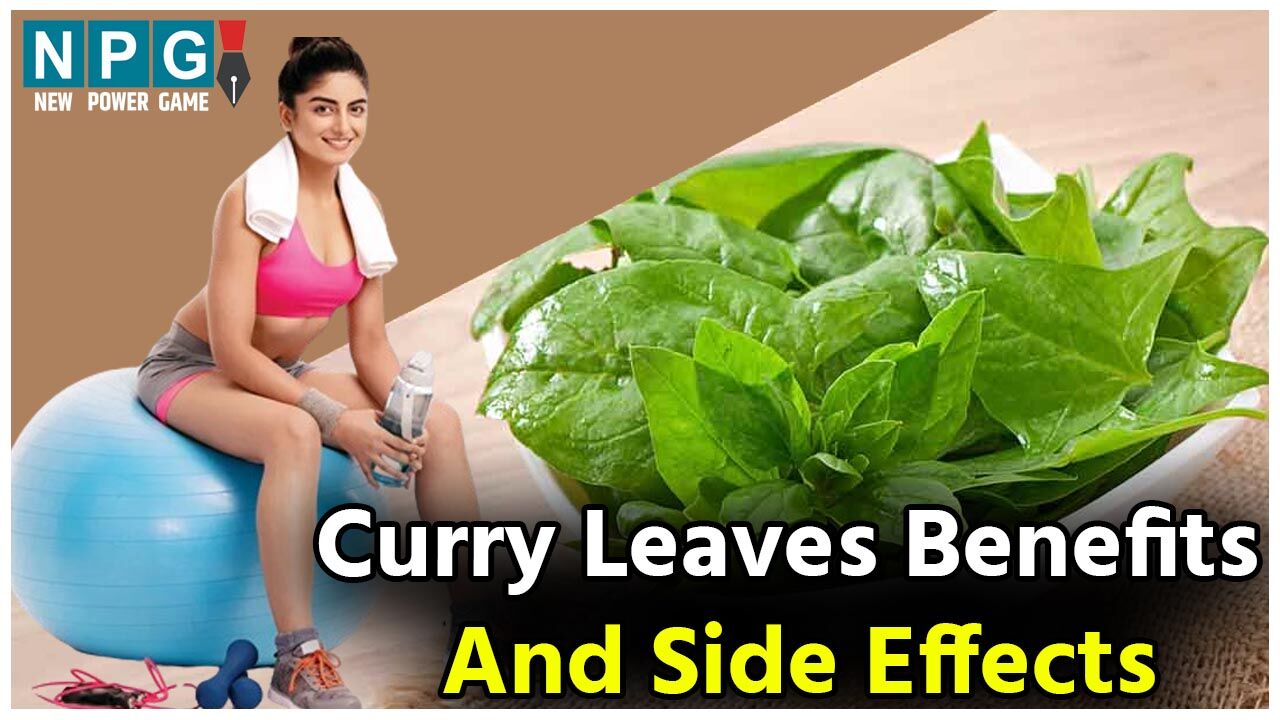 Curry Leaves Benefits And Side Effects स्वाद और सुगंध बढ़ाने के साथ