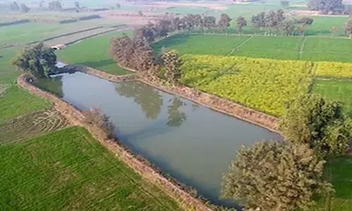 UP News : बस्ती में मत्स्य पालन के साथ खेती किसानी की नई तस्वीर गढ़ने में जुटे ग्रामीण