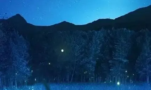 19 February 2024 daily Panchang In Hindi:- आज 19 फरवरी 2024 सोमवार का दिन कैसा मुहूर्त रहेगा, देखें NPG पर दैनिक पंचांग