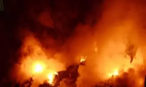 UP News: ग्रेटर नोएडा के गद्दा फैक्ट्री में लगी भीषण आग, घंटों से बुझाने में जुटीं दमकल विभाग की टीम