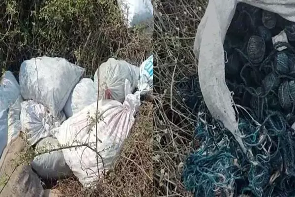Harda News: हरदा रेलवे ट्रैक के पास मिला 75 बोरी बम, टला बड़ा हादसा, मचा हड़कंप