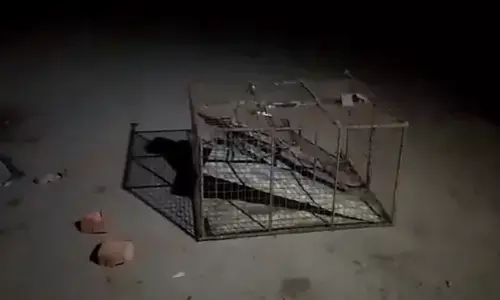 Bihar News: भागलपुर में विवाद : माँ सरस्वती की मूर्ति पर पत्थर फेंकने से दो समुदायों में झड़प