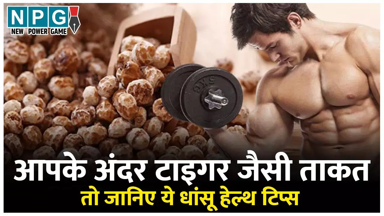Tiger Nuts benefits And Side Effects: आपके अंदर टाइगर जैसी ताकत लाएंगे टाइगर नट्स, मिलेंगे खूब सारे ज़रूरी विटामिन और मिनरल्स, बीमारियां रहेंगी दूर...