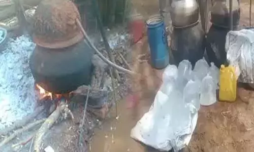 Mahasamund News: आबकारी विभाग की बड़ी कार्रवाई, भारी मात्रा में महुआ शराब जब्त...