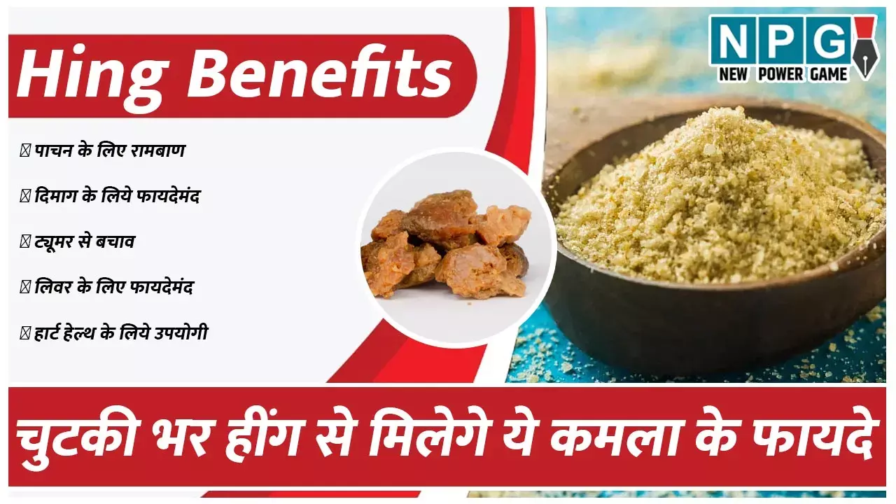 Hing Benefits: चुटकी भर हींग से मिले पेट से लेकर दिमागी समस्याओं तक से राहत, लेकिन तेज गर्म तेल में तड़का देकर गंवा रहे सारे फायदे, ये है इस्तेमाल का सही तरीका...