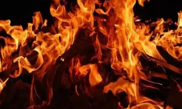 Gopalganj News: सरसों के खेत में मिली जलती हुई युवती की लाश, इलाके में मचा हड़कंप