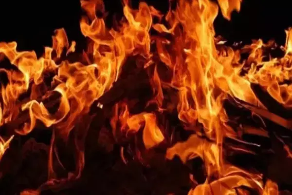 Gopalganj News: सरसों के खेत में मिली जलती हुई युवती की लाश, इलाके में मचा हड़कंप
