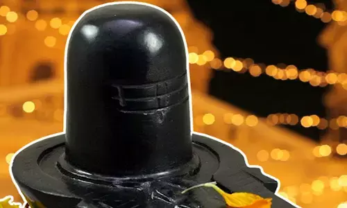 Maha Shivratri 2024 Ki Pooja: महाशिवरात्रि पर चाहते हैं शिवजी की बरसे कृपा तो ऐसे करें पूजा