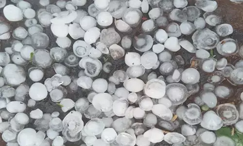 MP News: मध्य प्रदेश में बेमौसम बारिश से किसानों को नुकसान, जीतू पटवारी ने की मुआवजे की मांग