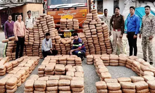 Mahasamund News: महासमुंद पुलिस की बड़ी कार्रवाई, साढ़े 8 करोड़ का गांजा पकड़ाया, ओड़ीसा से महाराष्ट्र जा रहे थे खपाने...