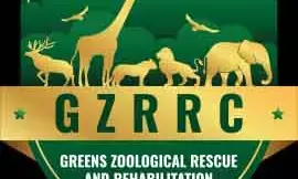 Chhattisgarh News: छत्‍तीसगढ़ से अंबानी के जू में जाएंगे ये वन्‍यजीव: केंद्रीय चिड़ि‍याघर प्राधिकरण ने दी मंजूरी, जानिए...किस जंगल से भेजे जाएंगे