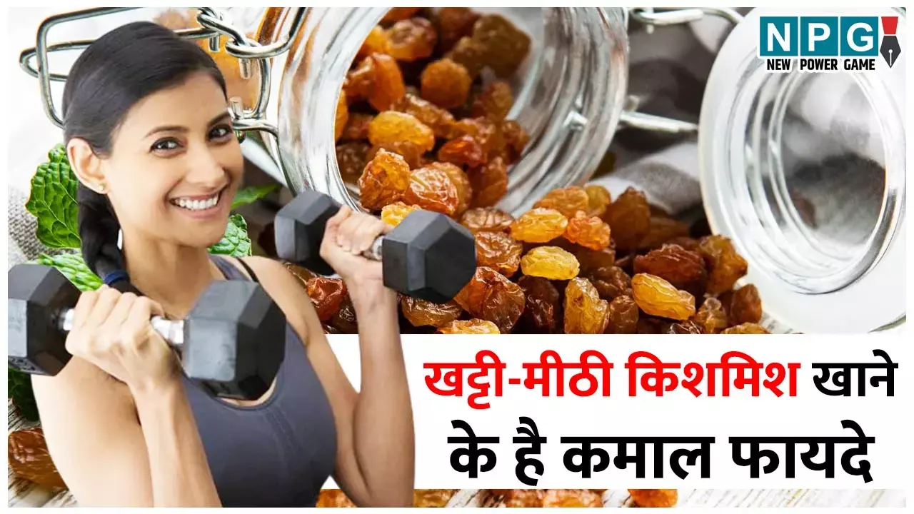 Raisin Benefits: खट्टी-मीठी किशमिश खाने से शरीर को मिलेंगे ये कमाल के फायदे, जान लेंगे तो खाएंगे रोज़ाना...