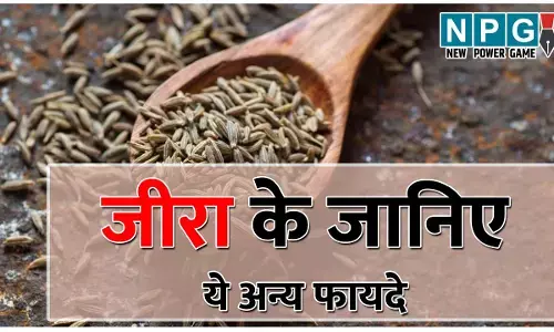 Cumin Seeds Benefits: वजन कम करना हो या अस्थमा और डायबिटीज़ से चाहिए राहत...मदद करेगा जीरा, अन्य फायदे भी जानिए...