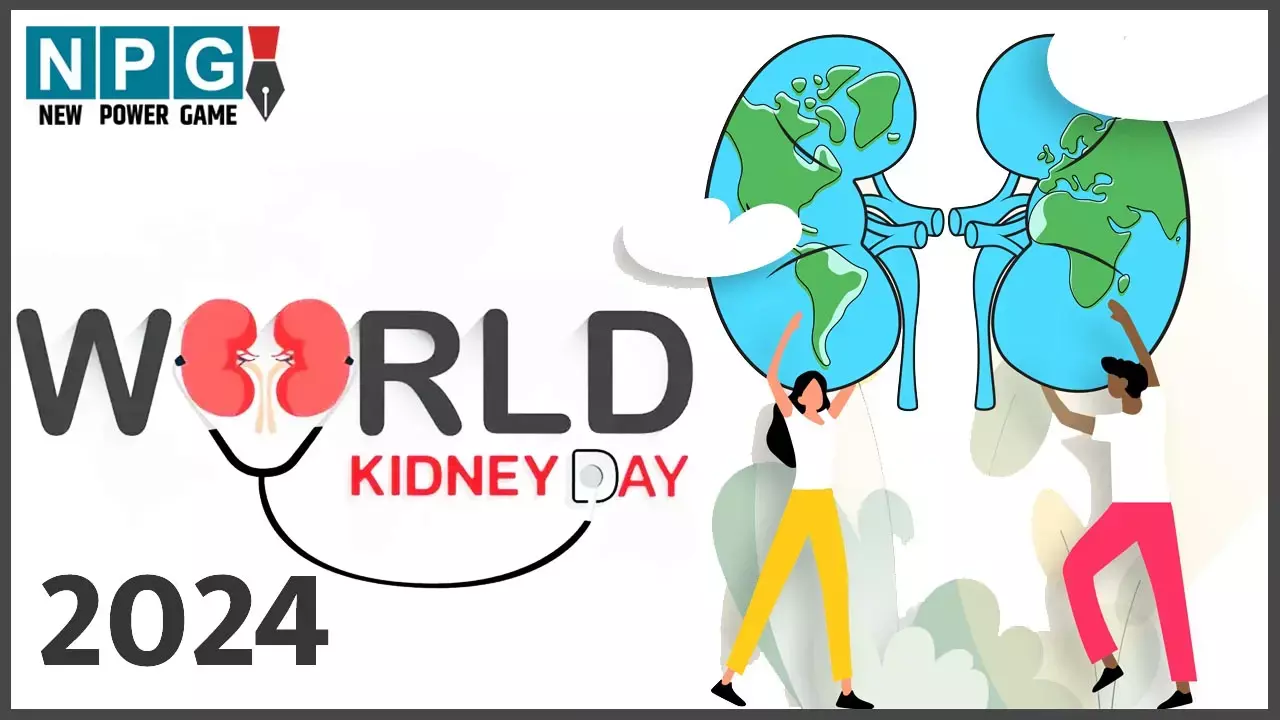 World Kidney Day 2024: किडनी को रिपेयर करते हैं ये फूड आइटम्स, अर्ली स्टेज पर है डैमेज तो कर लें खाने में इन्हें शामिल, स्वस्थ रहेगी किडनी...