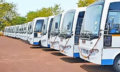 छत्तीसगढ़ के चार शहरों को मिली 240 सिटी बसों की स्वीकृति, जानिए किस जिले को कितनी बस