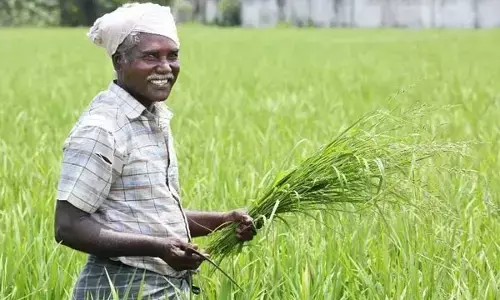 प्रति एकड़ 21 क्विंटल धान खरीदी और दो साल का 3716 करोड़ का बकाया बोनस देने से छत्तीसगढ़ के किसानों के चेहरे खिले