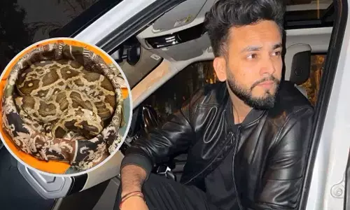 Elvish Yadav Arrested: एल्विश यादव को नोएडा पुलिस ने किया गिरफ्तार, सांप के जहर की सप्लाई का है आरोप