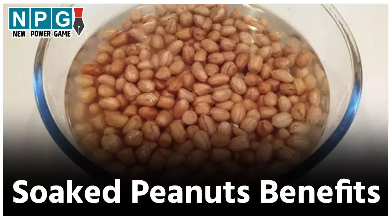Soaked Peanuts Benefits: गर्मियों में दिन की परफेक्ट शुरुआत कीजिए मुट्ठी भर भीगी मूंगफली के साथ, फायदे हैरान कर देंगे...