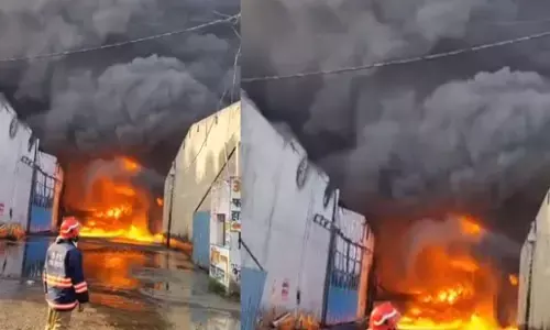 Delhi Fire News: अलीपुर की फैक्ट्री में लगी भीषण आग, 34 से ज्यादा दमकल की गाडियां मौके पर मौजूद