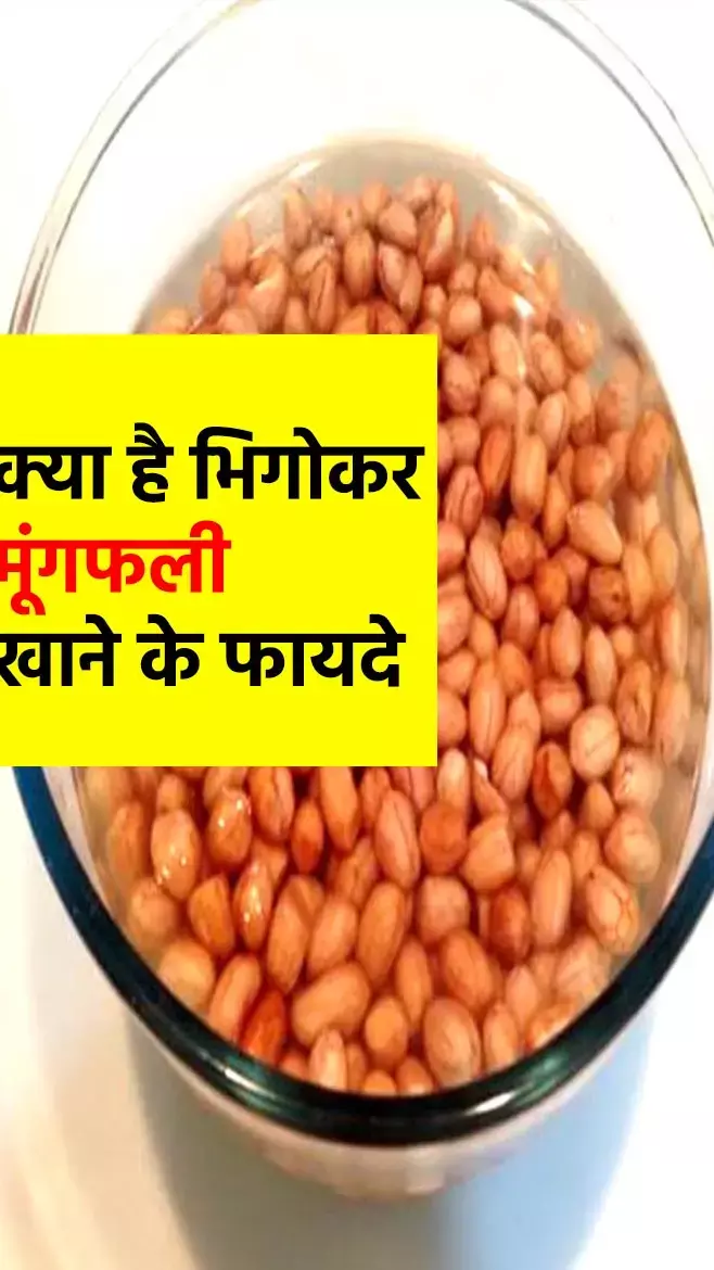 Bheegi Mungfali Ke Fayde: हर दिन खाएं भीगी हुई मूंगफली, मिलेंगे ये गजब के ढेरों फायदे, जानिए किन चीजों से...