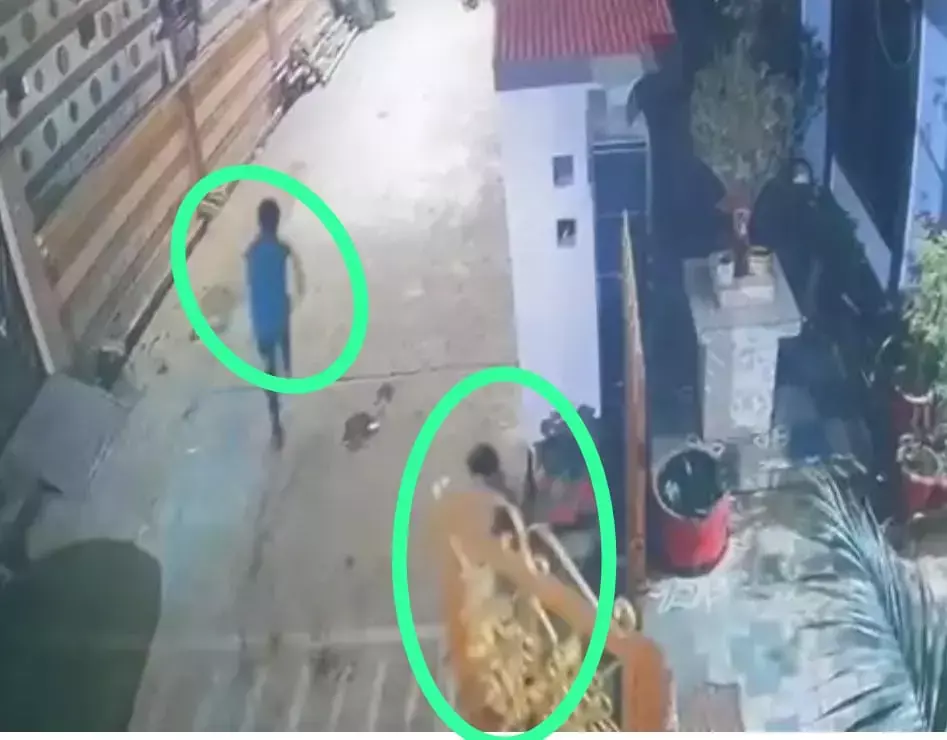 छत्तीसगढ़ में BJP सांसद के घर के पास चोरी की कोशिश, सुरक्षाकर्मी ने दौड़ाया, भाग निकले आरोपी, Video वायरल, SP ने कहा...