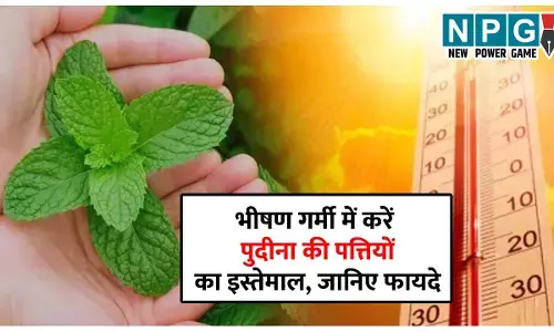 Mint Leaves Benefits: इस साल पड़ने जा रही है भीषण गर्मी, बढ़ा दीजिए पुदीने की पत्तियों का इस्तेमाल, लू से बचाव होगा, पेट को भी मिलेगी ठंडक...