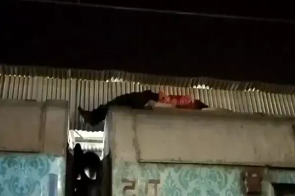 UP News: ऊपर हाईटेंशन तार, नीचे सोता रहा युवक, हमसफर एक्सप्रेस ट्रेन की छत पर लेटकर कर रहा था सफ़र, जानिए फिर क्या हुआ...