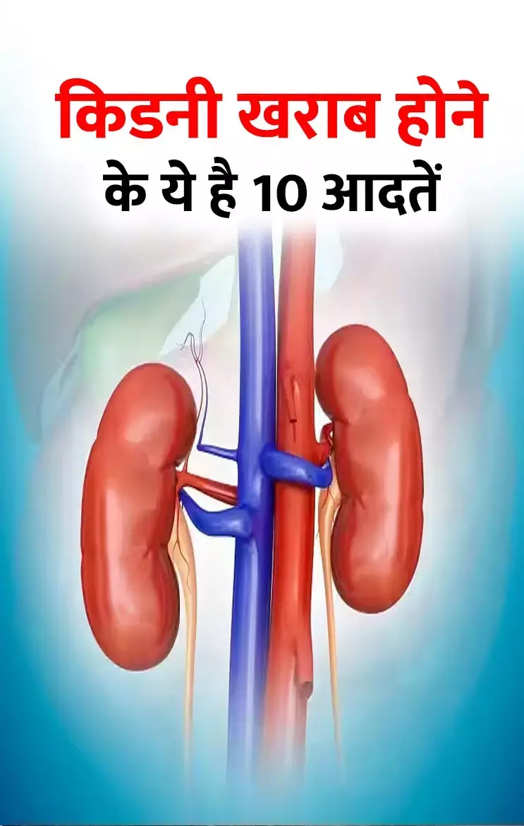 Kidani Ke Lakshan: किडनी खराब कर सकती हैं ये 10 आदतें, कहीं आप तो नहीं करते ये गलतियां, जानिए...
