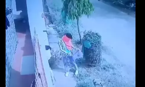 Jabalpur News: जबलपुर में अजीबोगरीब चोरी: ये गैंग सिर्फ चुराता है महिलाओं के अंडर गारमेंट, चोरों के आतंक से महिलाओं ने कपड़े सुखाना किया बंद...