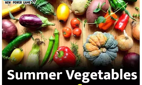 Benefits Of Summer Vegetables: गर्मी में ज़रूर खाएं ये मौसमी सब्जियाँ, पानी के साथ शरीर को मिलेगा पोषण, हीट स्ट्रोक से भी बचेंगे