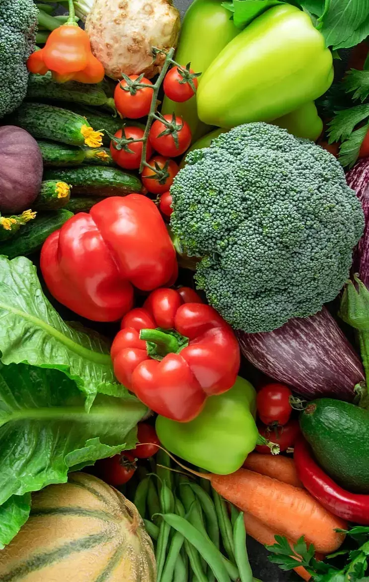 Summer Vegetables Benefits: अगर आपको गर्मियों में रहना है फिट? जरूर खाएं ये वेजिटेबल्स सब्जी, जानें इनके फायदे...