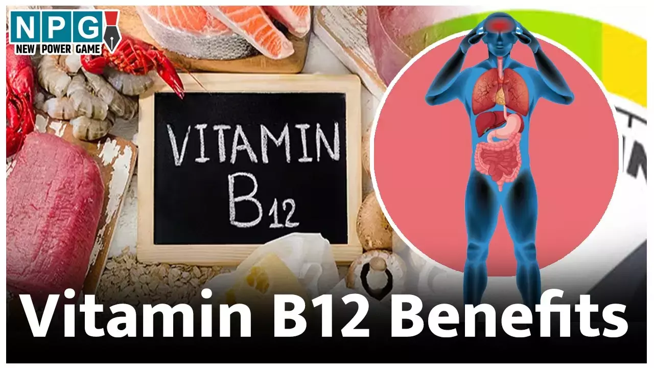 Benefits of Vitamin B12 : विटामिन बी 12 की कमी पूरी करने की कर रहे हैं कोशिश? कर ली तो होंगे इतने फायदे कि जानकर हो जाएंगे खुश...
