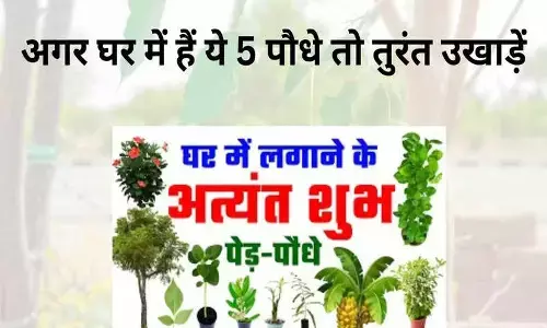 Plant in Home : घर में कौन सा पेड़ शुभ और कौन सा है अशुभ ?, आईये जाने किस पेड़ को लगाना कितना शुभ होता है और क्या फल देता है