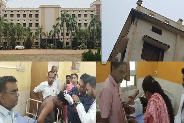 Bhanupratappur News: कर्मचारियों पर मधुमक्खियों का हमला, 20 कर्मचारी घायल, 6 गंभीर, स्कूल में पहुंचे थे चुनाव प्रशिक्षण में हिस्सा लेने