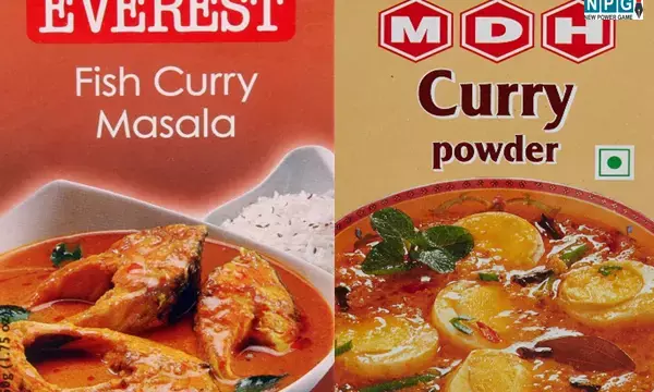 MDH And Everest Masala Ban: MDH और Everest के मसालों से कैंसर का खतरा, इन देशों में बैन, लोगों से इस्तेमाल न करने की अपील, भारत में भी होगी जांच