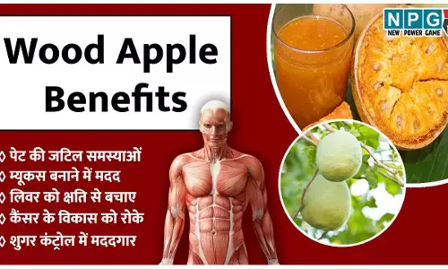 Wood Apple Benefits: गर्मी की पाचन संबंधी समस्याओं से ही नहीं बचाएगा, पूरी उम्र शरीर का अंदरूनी सुरक्षा कवच बनेगा बेल का फल, जानिए कम ज्ञात तथ्य...