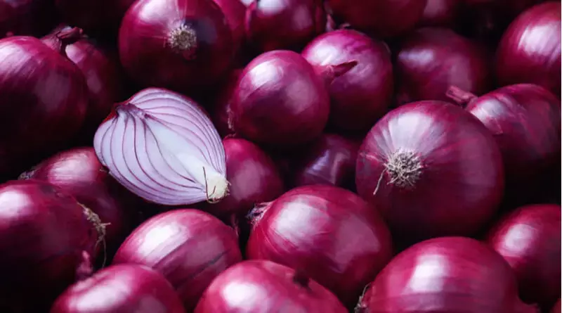 Onion in Summer : गर्मियों में प्याज रामबाण दवा से कम नहीं, रोजना खाए कच्चे प्याज
