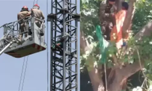 Tamil Nadu Farmers: खोपड़ी-हड्डी के साथ प्रदर्शन के बाद अब पेड़ और टावर पर चढ़े किसान, जंतर-मंतर पर हुआ बवाल