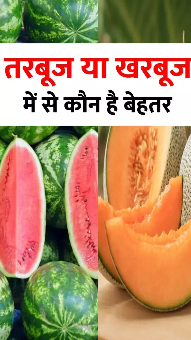 तरबूज और खरबूज में से बेहतर कौन? यहां जानिए सेहत के लिए कौन फायदेमंद और कौन है नुकसानदायक...