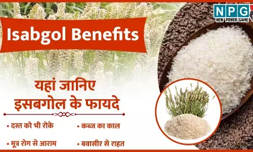 Isabgol Benefits: ये देसी भूसी अंग्रेज़ी दवाइयों को छोड़ देती है पीछे,कब्ज़ का तो है काल, मल त्याग बना देगी एकदम आसान...