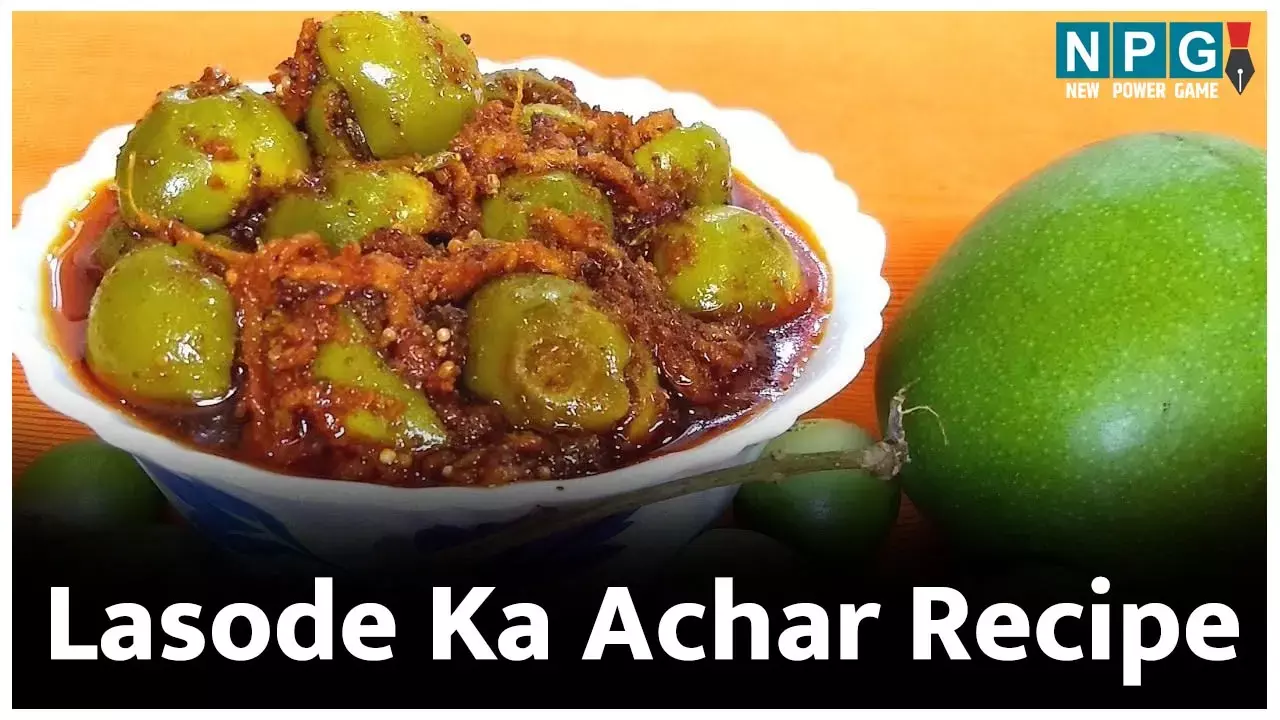 Lasode Ka Achar Recipe: बस दो महीने के लिए मार्केट में आता है लसोड़ा, फटाफट जान लीजिए इसके अचार की ईज़ी रेसिपी...
