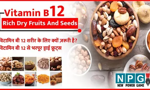 Vitamin B 12 Rich Dry Fruits And Seeds : इन ड्राई फ्रूट्स और बीज से  मिलेगा भरपूर विटामिन बी 12, मांस-मछली से परहेज रखने वाले ज़रूर पढ़ें...