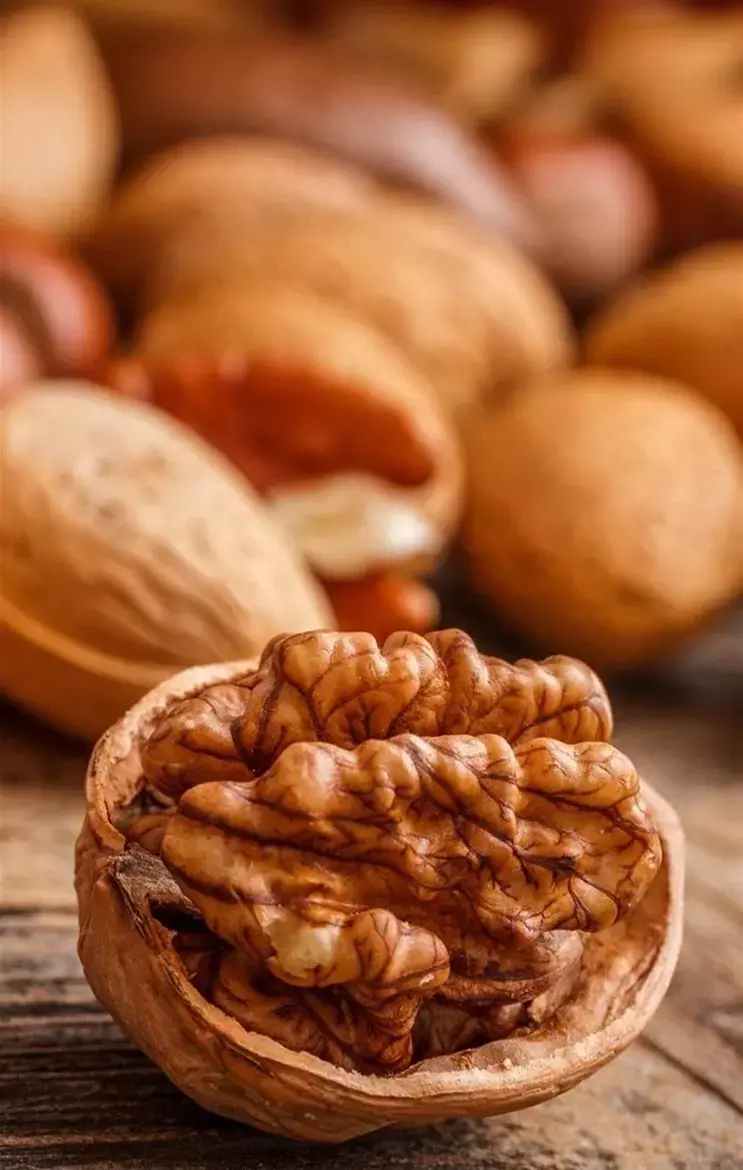 Vitamin B12 Rich Dry Fruits: वेजिटेरियन्स, विटामिन बी12 की हो गई है कमी? तो खास आपके लिए हैं ये नट्स और सीड्स...