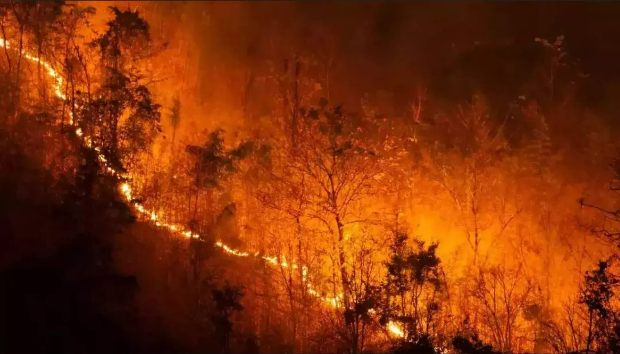 Nainital Forest Fire: नैनीताल के धधकते जंगलों में लगी आग बेकाबू, वायुसेना की ली जा रही है मदद Nainital Forest Fire: नैनीताल के धधकते जंगलों में लगी आग बेकाबू, वायुसेना की ली जा रही है मदद