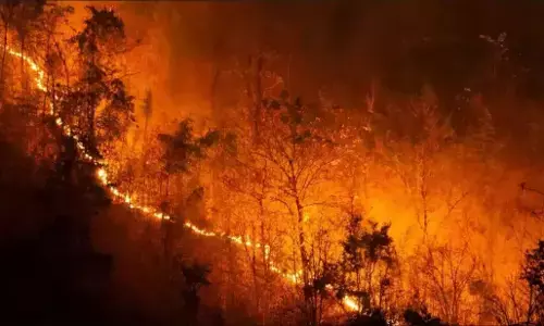 Nainital Forest Fire: नैनीताल के धधकते जंगलों में लगी आग बेकाबू, वायुसेना की ली जा रही है मदद