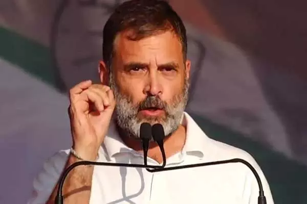 राहुल गांधी वायनाड सीट से आगे